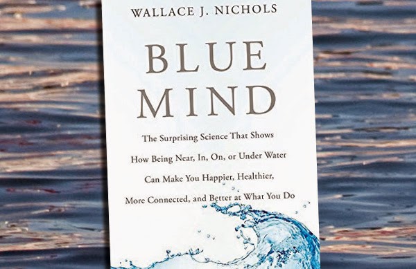 Blue Mind cover