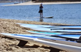 SUP boards on the beach
