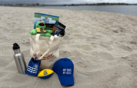 bag filled with goodies on beach